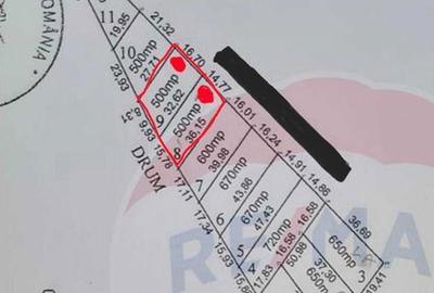 Teren de 1000 mp, în Săbăreni