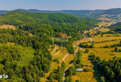 Teren de 6000 mp, în Tărlungeni