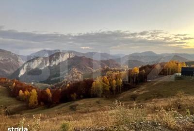Teren de 5200 mp, în Ponor - 7