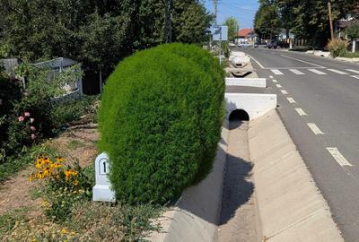 Casă cu 4 camere în Icușești - 9