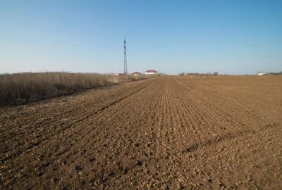 Teren Construcții intravilan de 403 mp, în Km 5 - 8