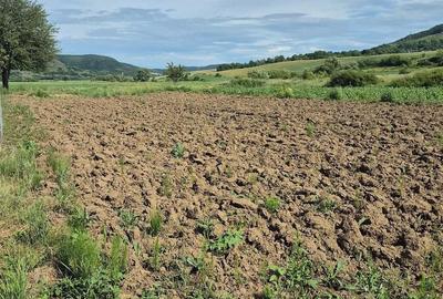 Teren de 1400 mp, în Așchileu - 1