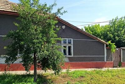 Casă cu 2 camere cu Teren 942 Mp în Periam - 7