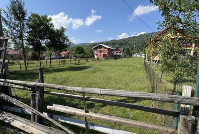 Teren de 2463 mp, în Băile Borșa - 3