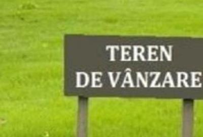 Teren de 10768 mp, în Baciu
