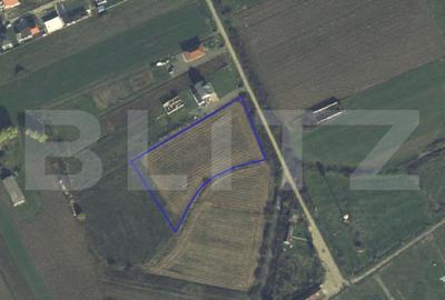 Teren Construcții intravilan de 7020 mp, în Vetiș