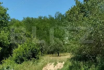 Teren de 2900 mp, în Central