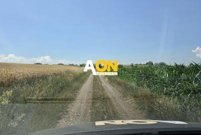 Teren Construcții intravilan de 21300 mp, în Vințu de Jos - 3
