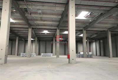 Spațiu comercial, de 25,000 mp, în Bolintin-Deal - 7