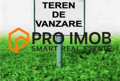 Teren de 29400 mp, în Vernești