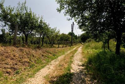 Teren de 1200 mp, în Paleu - 15