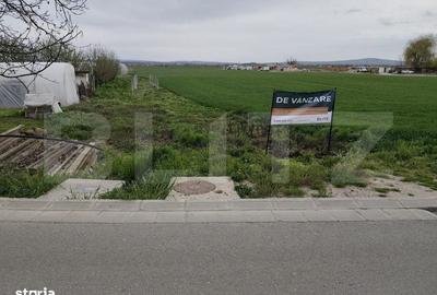 Spațiu comercial, în Podgoria