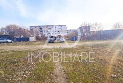 Teren Construcții intravilan de 12000 mp, în Rovinari - 8
