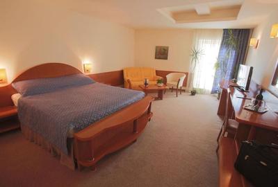Hotel/Pensiune, de 2,147 mp, în P-ța Victoriei - 10