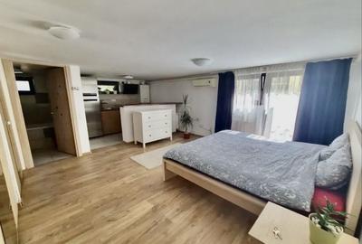 Garsonieră în Runcu - 3