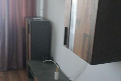 Apartament cu 2 camere nedecomandat în Podu Roș - 13