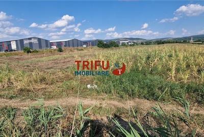 Teren de 5756 mp, în Industrială