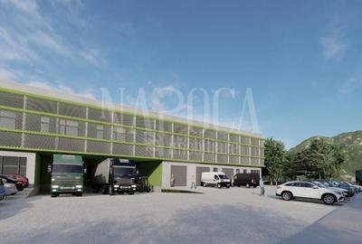 Teren Construcții intravilan de 9900 mp, în Sânnicoară - 4