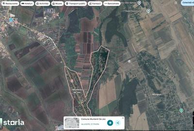 Teren de 24200 mp, în Muntenii de Jos - 5