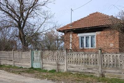 Casă cu 3 camere cu Teren 3222 Mp în Bretea Mureșană - 8