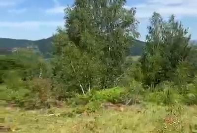 Teren de 1000 mp, în Șuncuiuș - 1