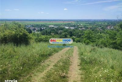 Teren de 19000 mp, în Răzvad - 3