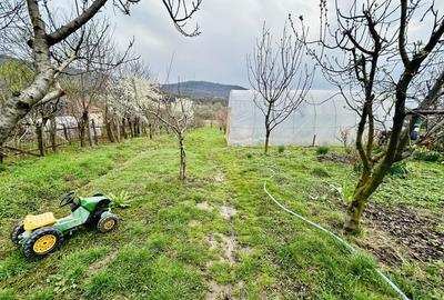 Casă cu 3 camere în Central