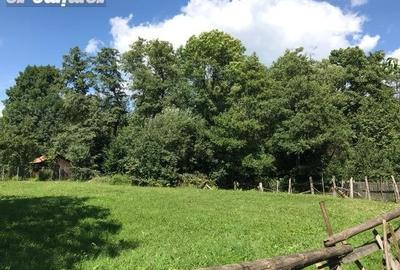 Teren de 852 mp, în Bistra Mureșului