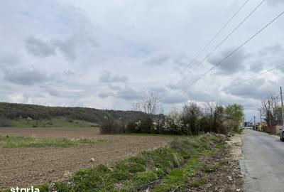 Teren de 2547 mp, în Vălenii de Munte - 7