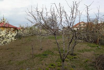 Teren de 845 mp, în Oreavul - 5