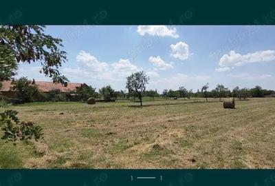 Teren de 2968 mp, în Drăgoiești