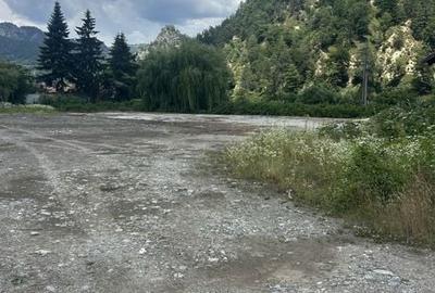 Teren de 12000 mp, în Central - 1