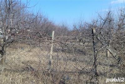 Teren de 2300 mp, în Blidari (Cârligele) - 2