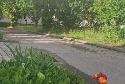 Apartament cu 3 camere semidecomandat în Dosu Bricii - 8