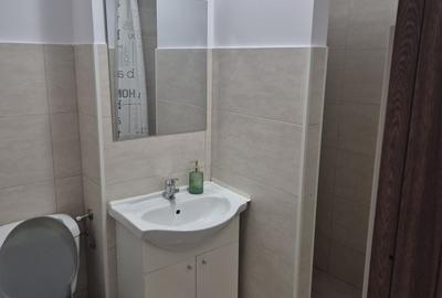 Garsonieră semidecomandată în Valea Rosie - 2