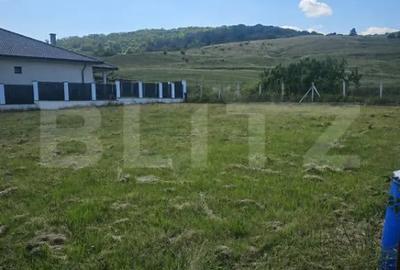 Teren în Viișoara