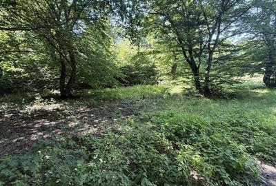 Teren de 500 mp, în Grigorescu - 3