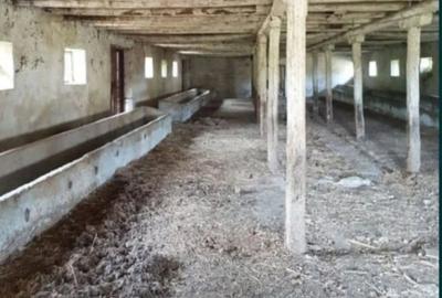 Teren de 440 mp, în Gâldău - 1