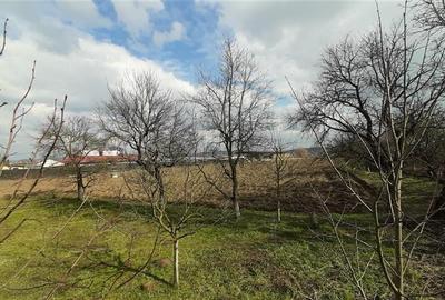 Teren Construcții intravilan de 11200 mp, în Nazna - 7
