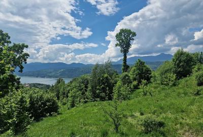 Teren de 3800 mp, în Buhalnița - 1