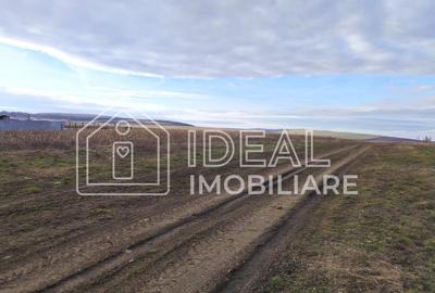 Teren Construcții intravilan de 455 mp, în Șura Mică - 1