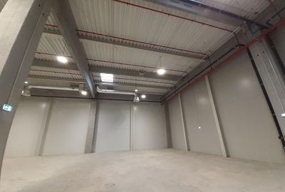 Spațiu industrial, de 786 mp, în 23 August (Cațelul) - 11