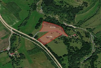 Teren agricol intravilan de 16000 mp, în Călățele - 3
