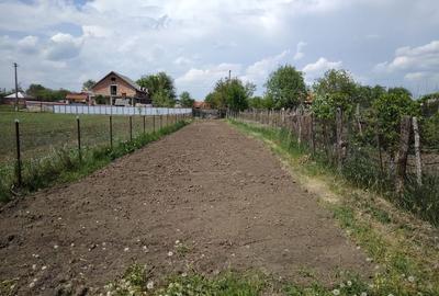 Spațiu comercial, de 1,150 mp, în Lespezi - 3