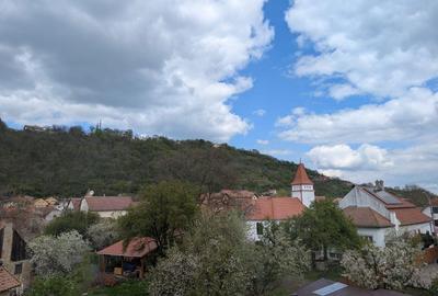 Garsonieră în Beba Veche - 1