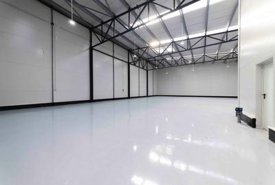 Spațiu industrial, de 574 mp, în Theodor Pallady - 2