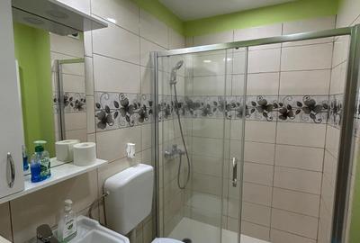 Apartament cu 2 camere în Săsar - 6
