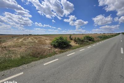 Teren de 8333 mp, în Central