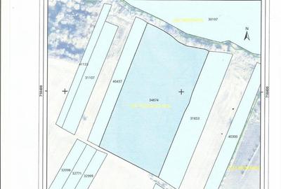 Teren de 46875 mp, în Frătăuții Noi - 1