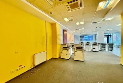 Spațiu comercial, de 800 mp, în Bucureștii Noi - 3
